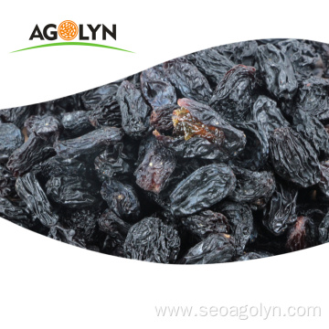 Hot Sell Chinese Purple Raisins Fruit Dry